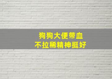 狗狗大便带血不拉稀精神挺好