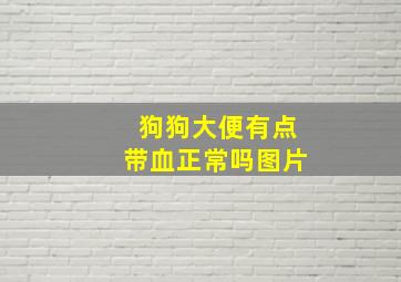 狗狗大便有点带血正常吗图片