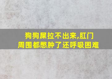 狗狗屎拉不出来,肛门周围都憋肿了还呼吸困难