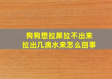 狗狗想拉屎拉不出来拉出几滴水来怎么回事