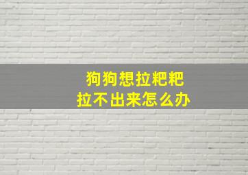 狗狗想拉粑粑拉不出来怎么办