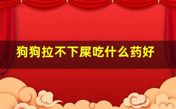 狗狗拉不下屎吃什么药好