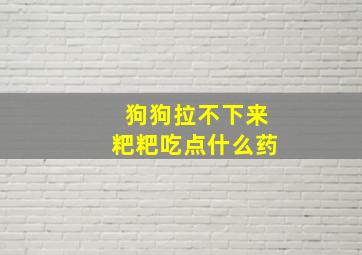 狗狗拉不下来粑粑吃点什么药