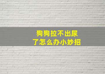 狗狗拉不出尿了怎么办小妙招