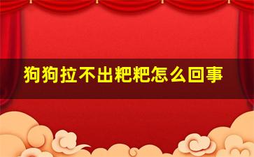 狗狗拉不出粑粑怎么回事