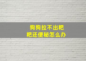 狗狗拉不出粑粑还便秘怎么办