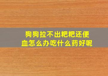 狗狗拉不出粑粑还便血怎么办吃什么药好呢