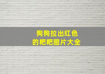 狗狗拉出红色的粑粑图片大全