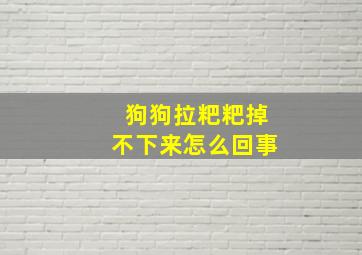 狗狗拉粑粑掉不下来怎么回事