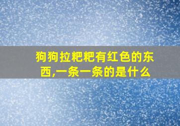 狗狗拉粑粑有红色的东西,一条一条的是什么