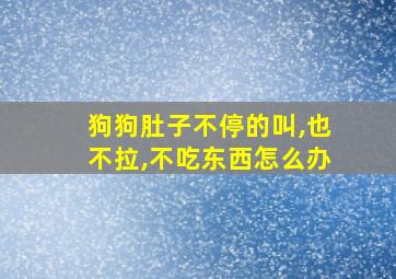 狗狗肚子不停的叫,也不拉,不吃东西怎么办