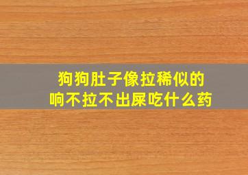 狗狗肚子像拉稀似的响不拉不出屎吃什么药