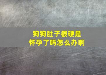 狗狗肚子很硬是怀孕了吗怎么办啊