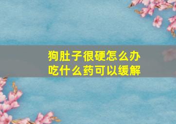 狗肚子很硬怎么办吃什么药可以缓解