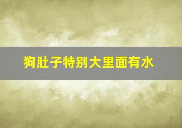 狗肚子特别大里面有水