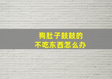 狗肚子鼓鼓的不吃东西怎么办