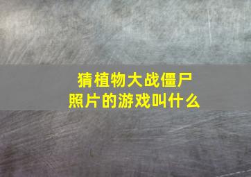 猜植物大战僵尸照片的游戏叫什么