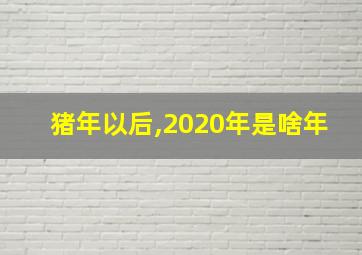 猪年以后,2020年是啥年