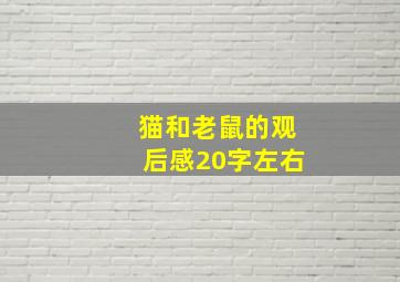 猫和老鼠的观后感20字左右