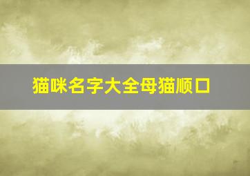 猫咪名字大全母猫顺口