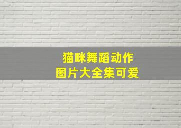 猫咪舞蹈动作图片大全集可爱