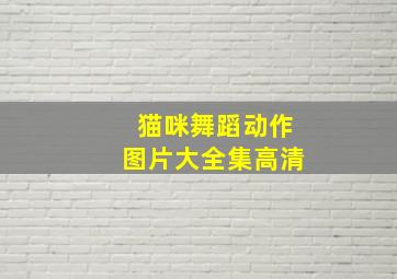 猫咪舞蹈动作图片大全集高清