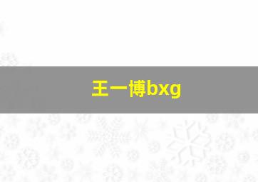 王一博bxg