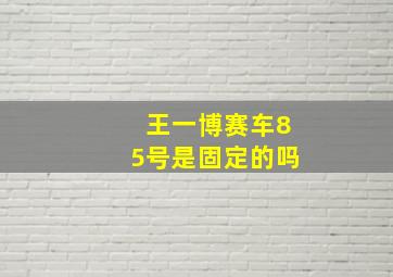 王一博赛车85号是固定的吗