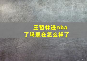 王哲林进nba了吗现在怎么样了