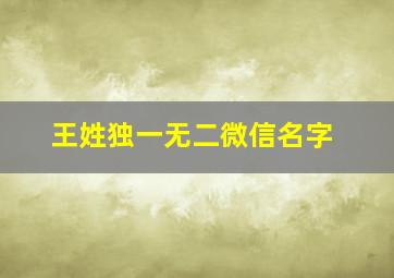 王姓独一无二微信名字