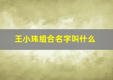 王小玮组合名字叫什么