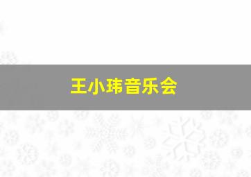 王小玮音乐会