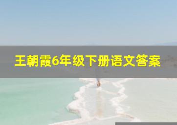 王朝霞6年级下册语文答案