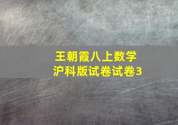 王朝霞八上数学沪科版试卷试卷3