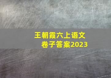 王朝霞六上语文卷子答案2023