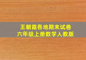 王朝霞各地期末试卷六年级上册数学人教版