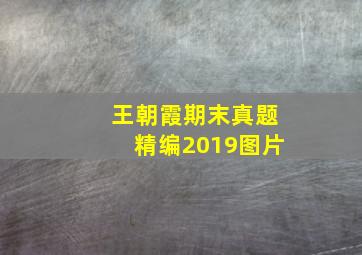 王朝霞期末真题精编2019图片