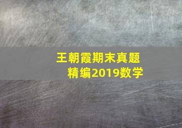 王朝霞期末真题精编2019数学