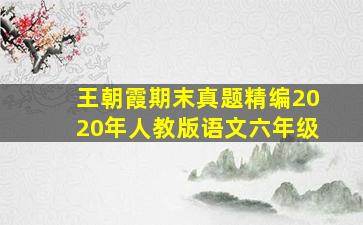 王朝霞期末真题精编2020年人教版语文六年级