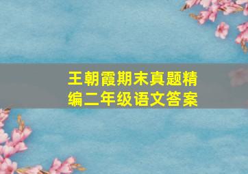 王朝霞期末真题精编二年级语文答案