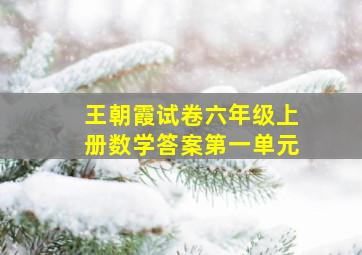 王朝霞试卷六年级上册数学答案第一单元