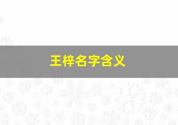 王梓名字含义