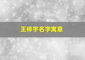 王梓宇名字寓意