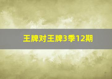 王牌对王牌3季12期