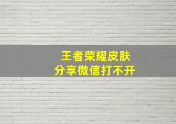 王者荣耀皮肤分享微信打不开