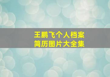 王鹏飞个人档案简历图片大全集