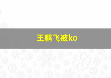 王鹏飞被ko