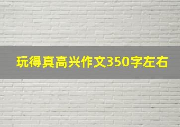 玩得真高兴作文350字左右