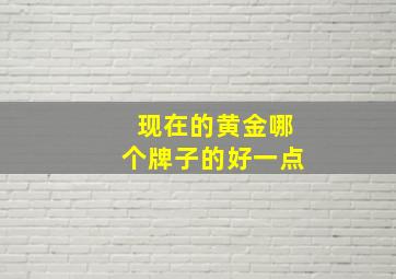 现在的黄金哪个牌子的好一点