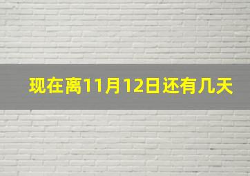 现在离11月12日还有几天